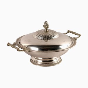 Gemüseschale in Silber