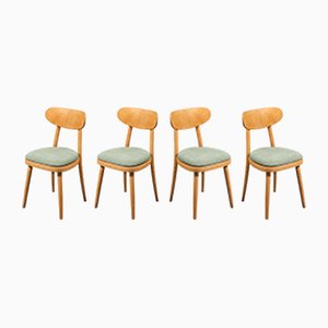 Mid-Century Modern Dining Chairs in Beech Wood with Light Green Fabric, 1950s, Set of 4
