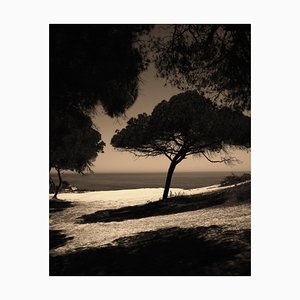 Ugne Pouwell, Summer Shade, 2022, Limited Edition Photograph