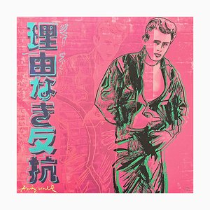 Dopo Andy Warhol, James Dean Pink, anni '80, stampa