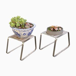 Bols pour Plantes en Céramique avec Plantes Grasses, Set de 2