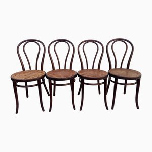 Chairs from Thonet, 1940s, Set of 4