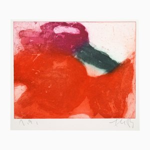 Klaus Fußmann, Glaïeuls, 1983, Eau-forte en couleurs