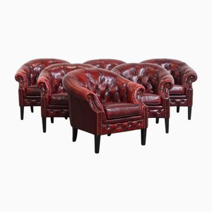 Sedie Chesterfield in pelle di vacchetta, Regno Unito, set di 6