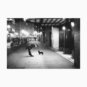 Getty Images Archive Photographe, Commissionnaires Dog, Photographie en noir et blanc sur papier