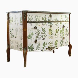 Gustavian Chest with Nordens Flora by C.A.M Lindman, Sweden, 1940s