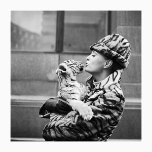 Getty Archive Photographer, Tiger Lady, Photographic Print
