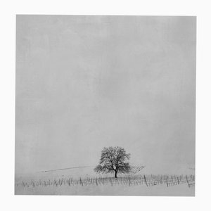 Rosa Basurto, Blanco 1, Impression Noir et Blanc sur Papier Coton