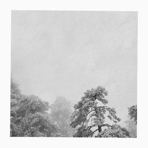 Rosa Basurto, Blanco 2, Photographie Noir et Blanc sur Papier Coton