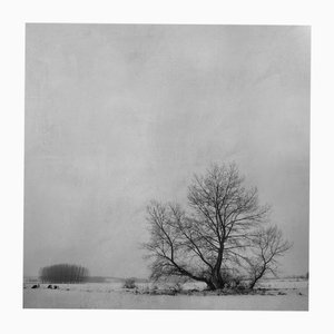 Rosa Basurto, Blanco 7, Black and White Photograph on Cotton Paper