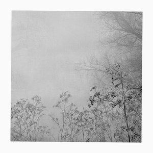 Rosa Basurto, Blanco 8, Photographie Noir et Blanc sur Papier Coton