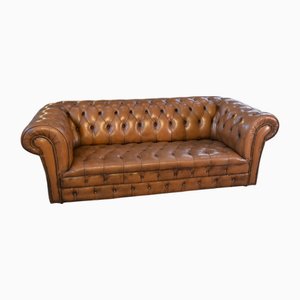 Tufted Chesterfield Sofa in Rehbraun, 1950er