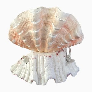 Small Shell Table Lamp, 1970