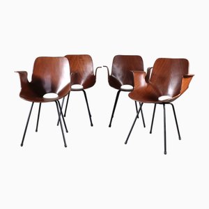 Medea Chairs with Armrests by Vittorio Nobili for Fratelli Tagliabue 1960s, Set of 4