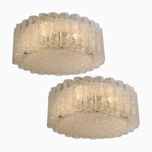 Clear Flush Mount Chandeliers from Doria Leuchten, 1960s, Set of 2