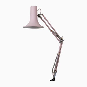 Powder Colored Clip-on Lamp
