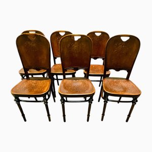 Handpantographierte Khon Stühle von Thonet, 1906, 6 . Set