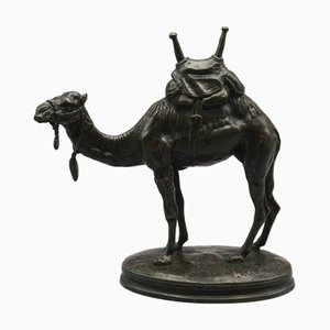 Alfred Barye, Dromedary, 19th Century, Bronze