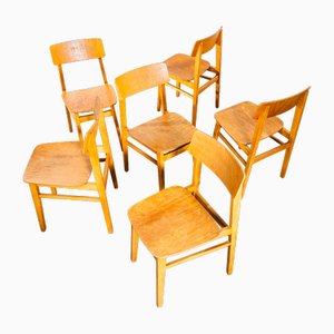 Sillas de comedor Mid-Century, años 50. Juego de 6