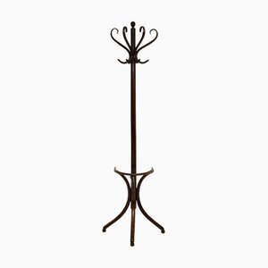 Antique Bentwood Half Coat Rack, 1880s