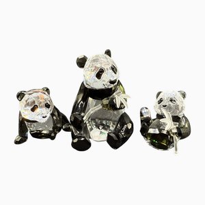 Pandas Family - SCS Jahresausgabe 2008 von Swarovski, 3 . Set