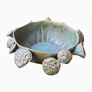 Tazza di spugna di L'oca Nera