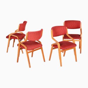 Mid-Century Czech Chairs in Maple attributed to Ludvik Volak for Drevopodnik Holesov, 1960s, Set of 4