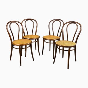 nr. 18 Sedia di Thonet, inizio XX secolo