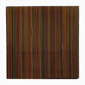 Studio Massimo Caiafa, Bronze Rainbow, 2025, Acrylic, Plastic and Epoxy Resin on Wood