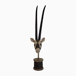 Deutscher Künstler, Antilopenkopfskulptur, 2000er, Resin