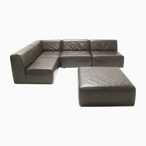 Leather Jeep Modular Sofa by Anita Schmidt for Durlet, 1970s, Set of 5