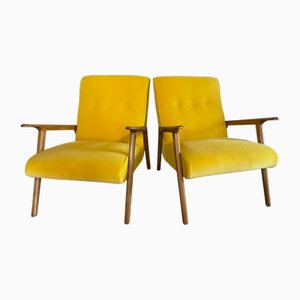 Poltrone Late con struttura in legno di faggio e velluto di cotone, anni '50, set di 2