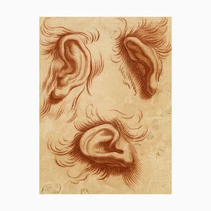 D'après Charles Le Brun, Etude de Physionomie d'Oreilles, XVIIIe Siècle, Dessin à la Craie