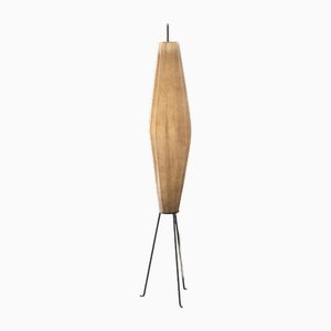 Lampadaire Vintage, 1950s