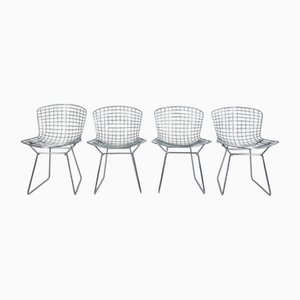 Vintage Side Chairs in Chrome by Harry Bertoia, 1950s, Set of 4