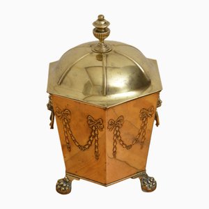 Edwardian Brass Coal Bin Plant Pot Planter, 1900s