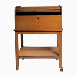 Meuble de Rangement avec Volet, 1960s