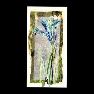 Maria Donata Papadia, Cluster Lily, Collage de papel de técnicas mixtas