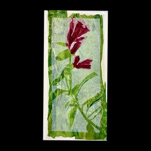 Maria Donata Papadia, Cestrum, Mixed Media Paper Collage