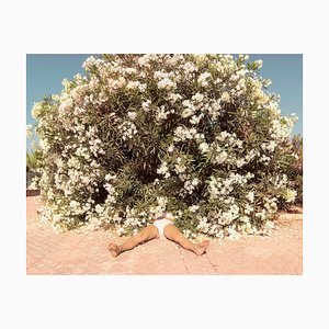 Figurative Botanical Color Image, 2019, Photographic Print