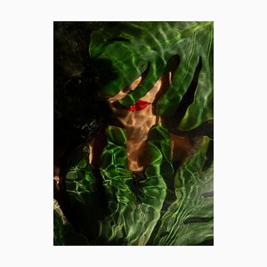 Carla Sutera Sardo, Aqva Jungle, 2019, Photographic Print