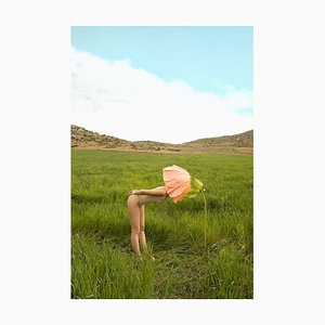 Carla Sutera Sardo, Wild Flower, 2025, Lámina fotográfica