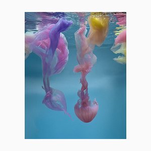 Jellifish, 2025, Photographic Print
