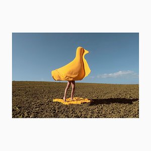 Carla Sutera Sardo, Surrealistisches Bild, Fotografie