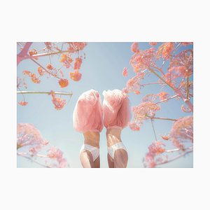 Carla Sutera Sardo, Blossom, 2024, Photographic Print