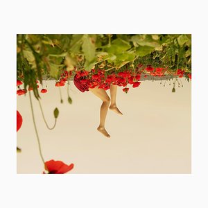 Carla Sutera Sardo, Smell of Beauty, 2022, Lámina fotográfica