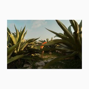 Carla Sutera Sardo, Orange Sunset, 2021, Photographic Print
