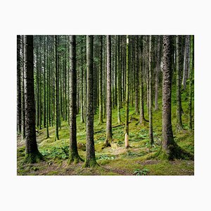 Guy Sargent, Loch Oich, Photograph