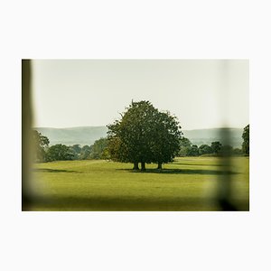 Guy Sargent, Le Jardin III, Photograph