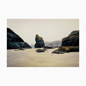 Guy Sargent, The Lizard, Photograph